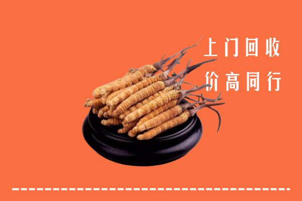 高价求购：洛浦县回收散虫草