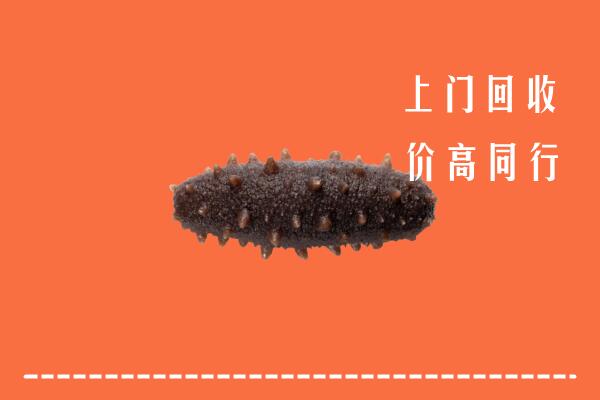 高价求购：洛浦县回收海参