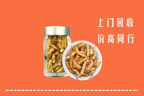 洛浦县回收冬虫夏草